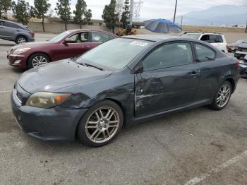  Salvage Toyota Scion