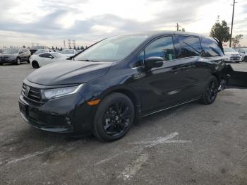  Salvage Honda Odyssey