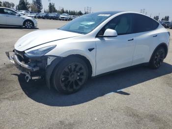  Salvage Tesla Model Y