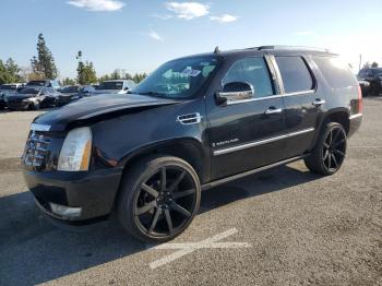  Salvage Cadillac Escalade