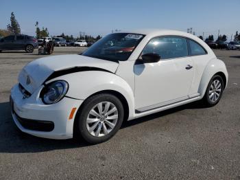  Salvage Volkswagen Beetle
