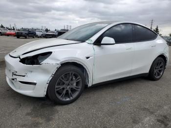  Salvage Tesla Model Y