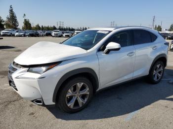 Salvage Lexus NX