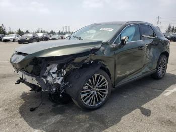  Salvage Lexus RX