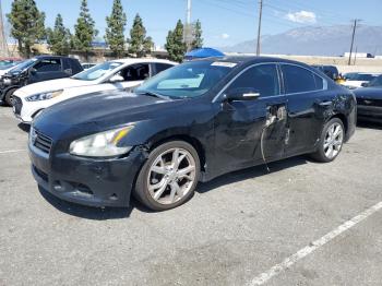  Salvage Nissan Maxima