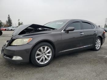  Salvage Lexus LS