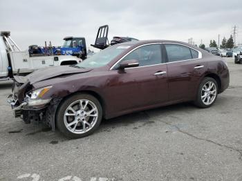  Salvage Nissan Maxima