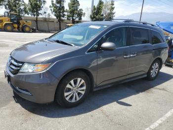  Salvage Honda Odyssey