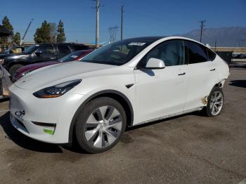  Salvage Tesla Model Y