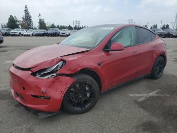  Salvage Tesla Model Y