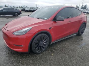  Salvage Tesla Model Y