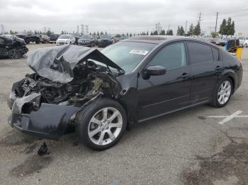  Salvage Nissan Maxima