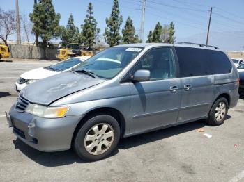  Salvage Honda Odyssey