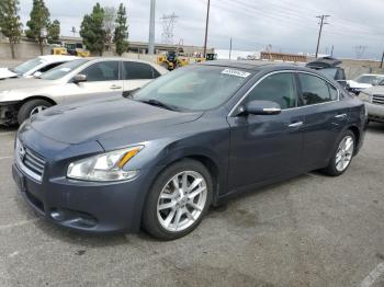  Salvage Nissan Maxima