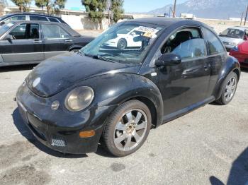  Salvage Volkswagen Beetle