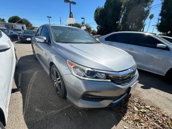  Salvage Hond Accord