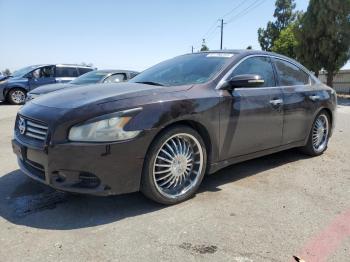  Salvage Nissan Maxima