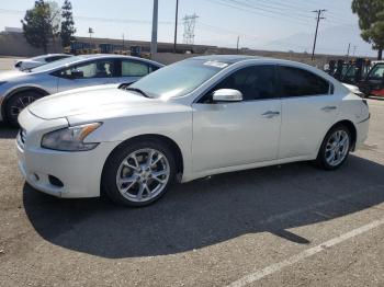  Salvage Nissan Maxima