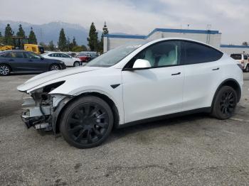  Salvage Tesla Model Y