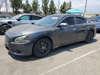  Salvage Nissan Maxima