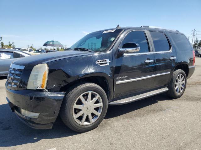  Salvage Cadillac Escalade
