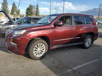  Salvage Lexus Gx
