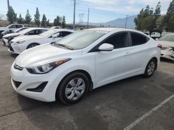  Salvage Hyundai ELANTRA