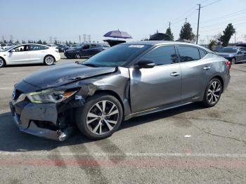  Salvage Nissan Maxima