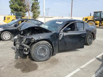  Salvage Dodge Charger