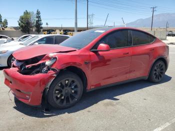  Salvage Tesla Model Y