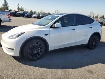  Salvage Tesla Model Y