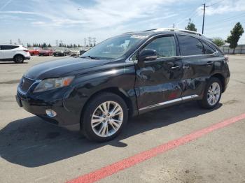  Salvage Lexus RX
