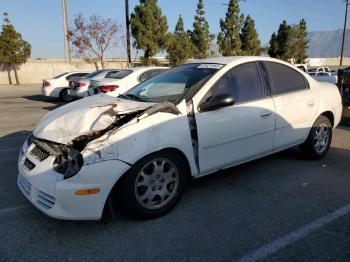 Salvage Dodge Neon
