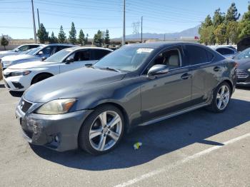  Salvage Lexus Is