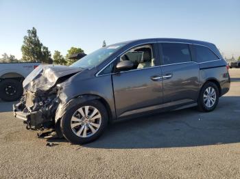  Salvage Honda Odyssey