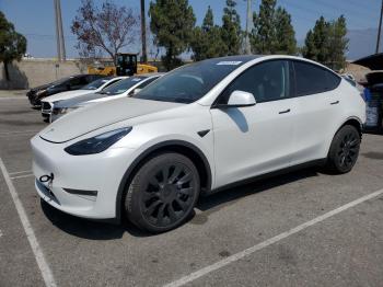  Salvage Tesla Model Y