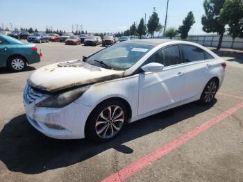  Salvage Hyundai SONATA