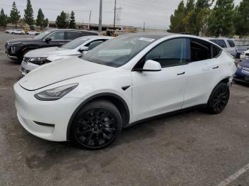  Salvage Tesla Model Y