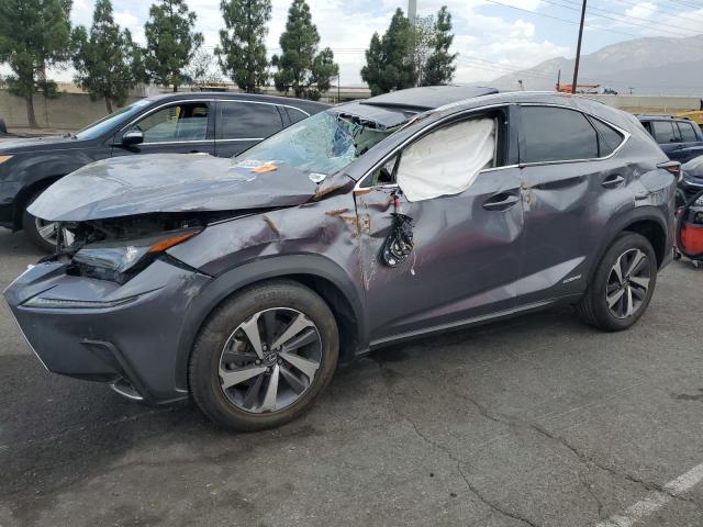  Salvage Lexus NX