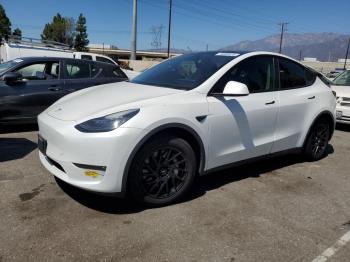  Salvage Tesla Model Y