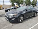 Kia Optima Hybrid Image 1