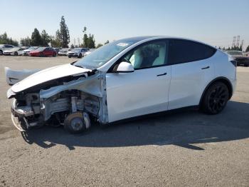  Salvage Tesla Model Y