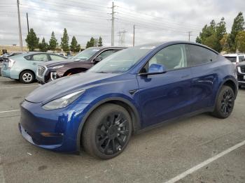  Salvage Tesla Model Y