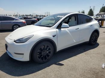  Salvage Tesla Model Y