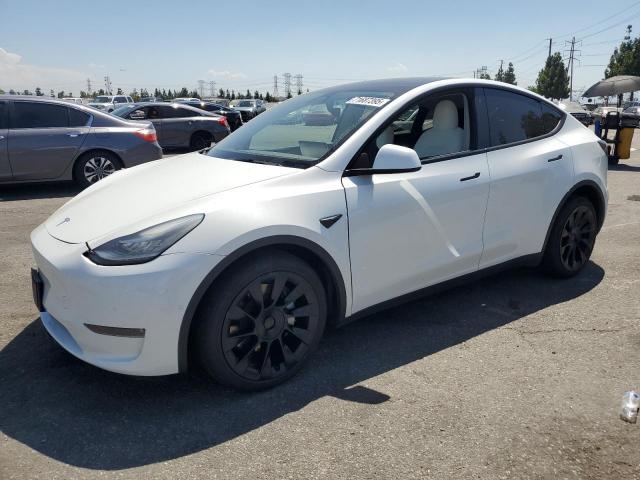  Salvage Tesla Model Y