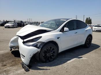  Salvage Tesla Model Y