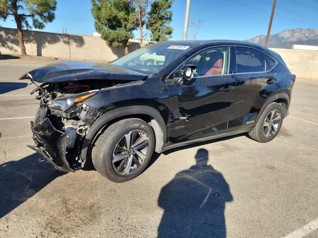  Salvage Lexus NX