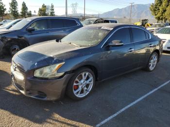  Salvage Nissan Maxima