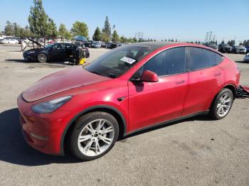  Salvage Tesla Model Y