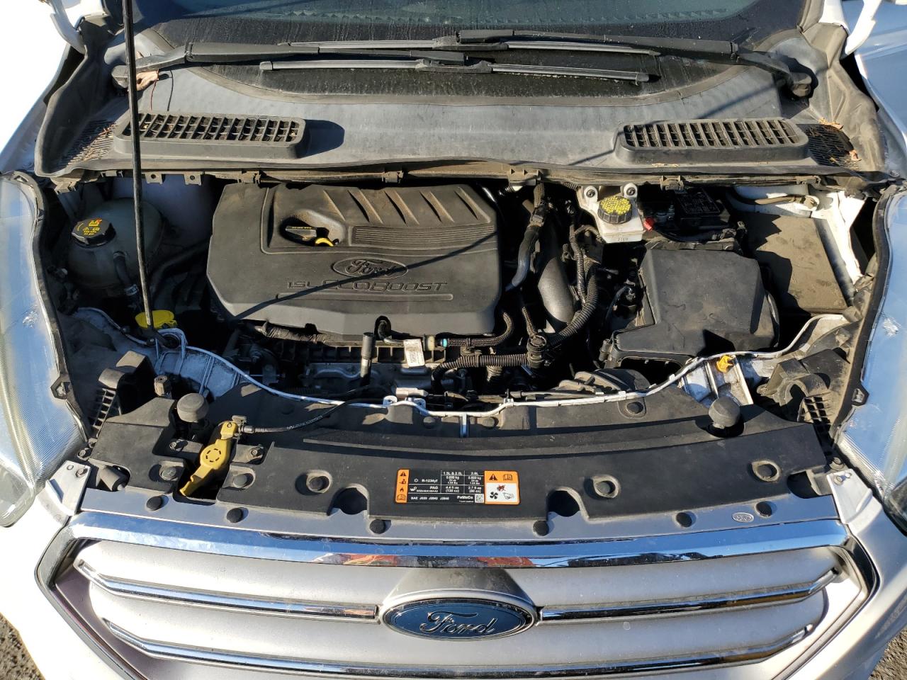 Ford Escape Se Image 10